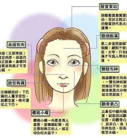 女人眼袋面相